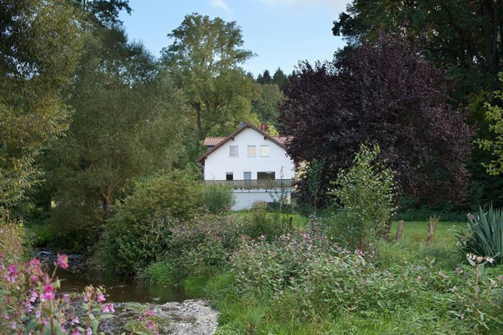 Wald-Apartment Limbach-Oberfrohna Exterior photo