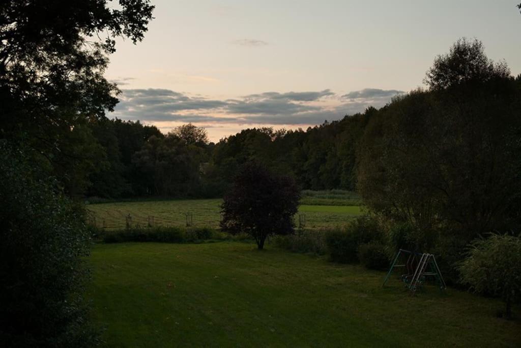Wald-Apartment Limbach-Oberfrohna Exterior photo