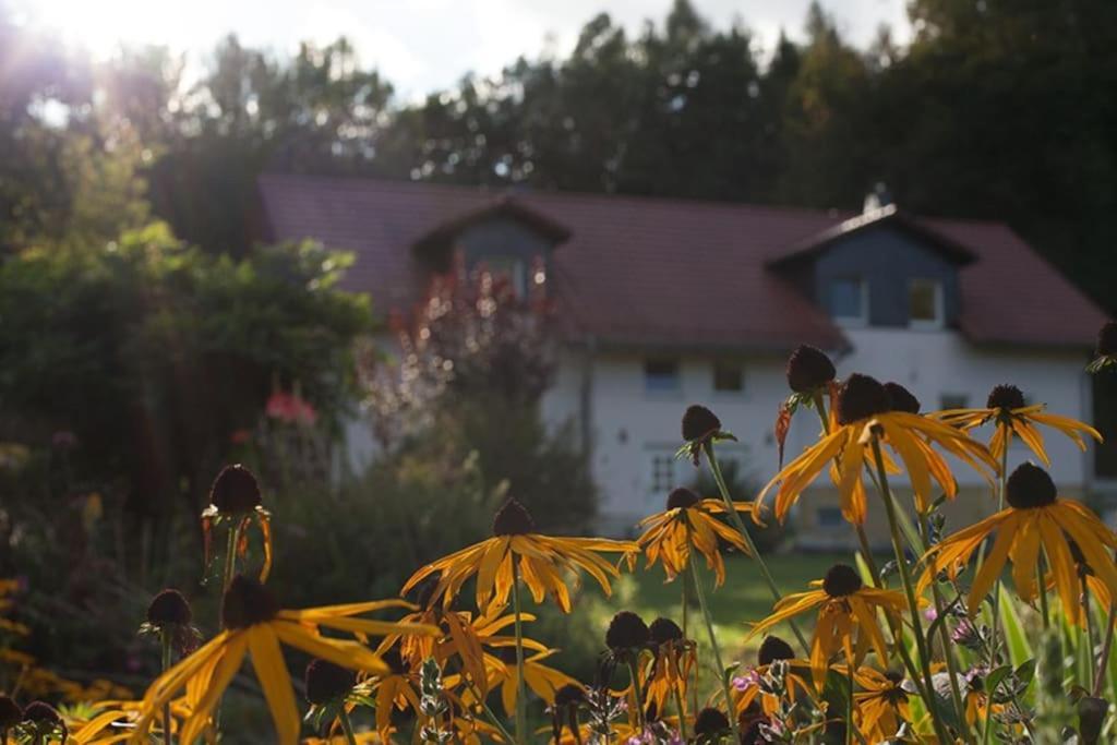 Wald-Apartment Limbach-Oberfrohna Exterior photo
