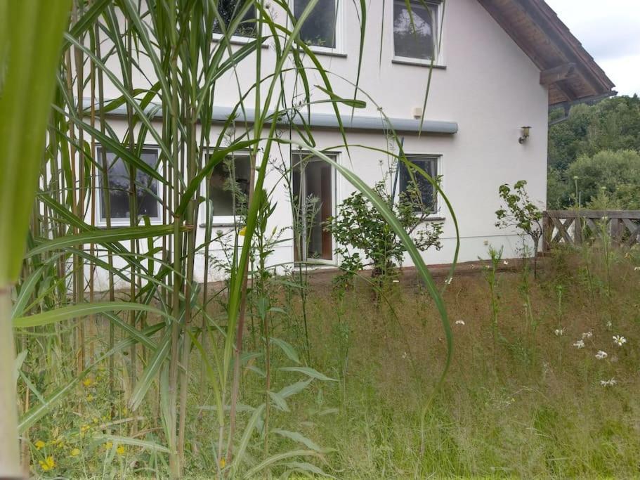 Wald-Apartment Limbach-Oberfrohna Exterior photo