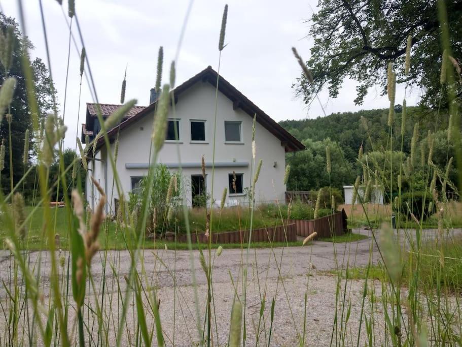 Wald-Apartment Limbach-Oberfrohna Exterior photo