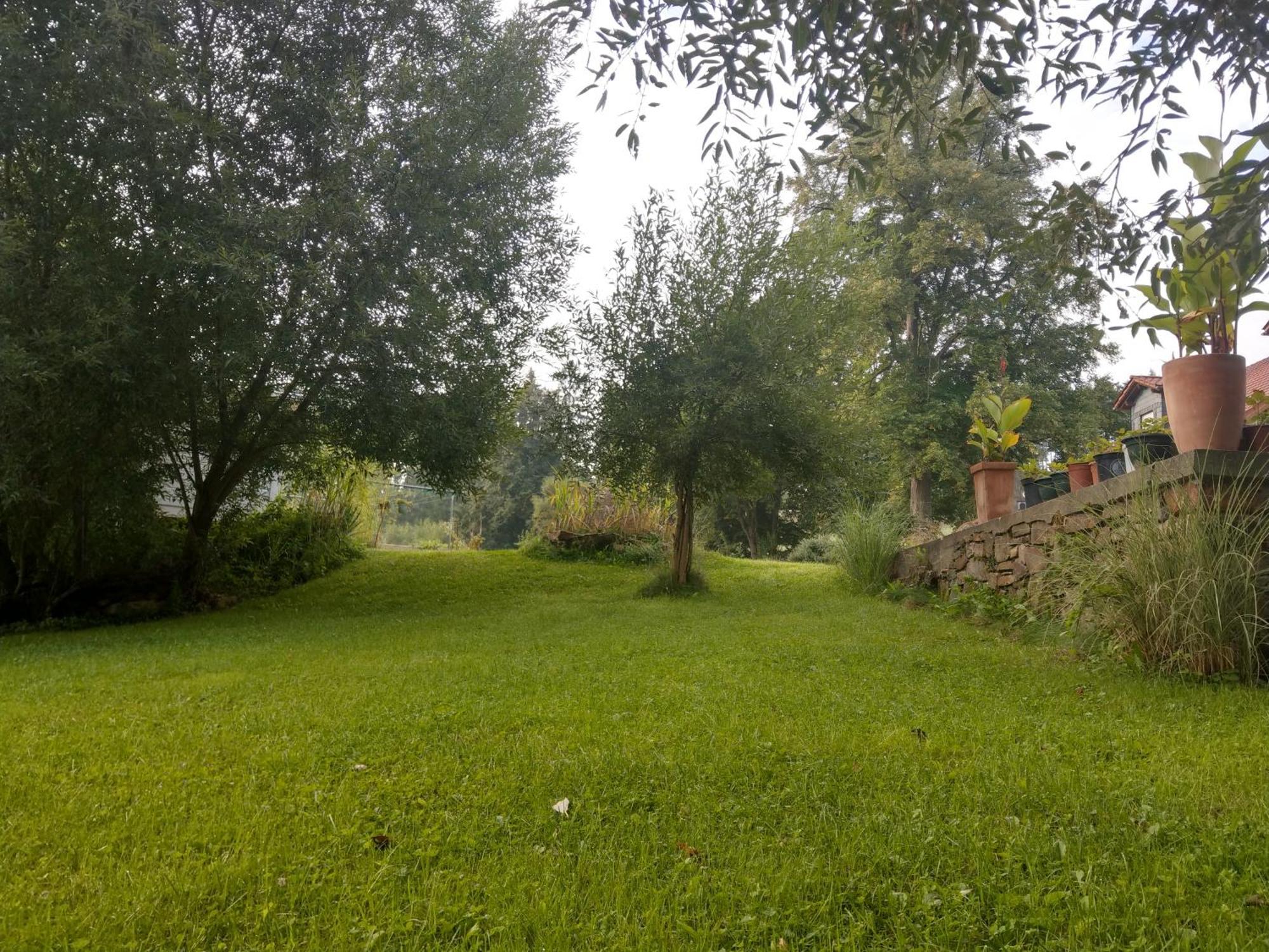 Wald-Apartment Limbach-Oberfrohna Exterior photo